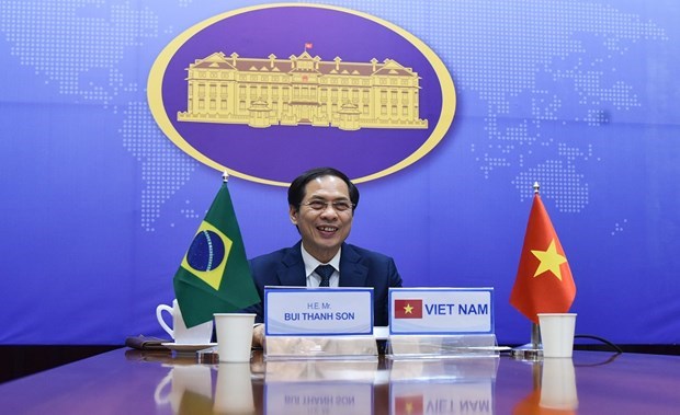 seventh vietnam brazil political consultation held
