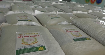 tons of rice provided to 400 households in disaster hit quang ngai province