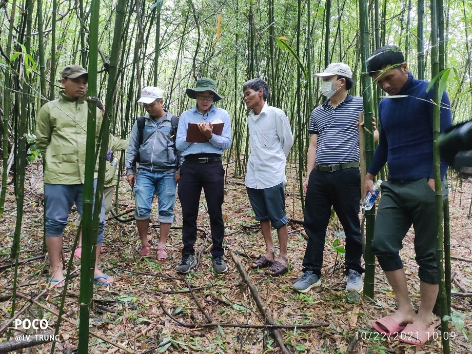First FSC Certification for Non-Timber Forest Products in Vietnam