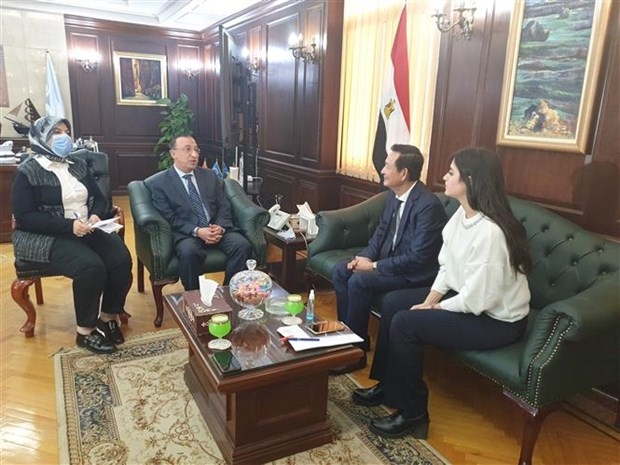 Online exchanges connect Vietnam, Egypt enterprises amid COVID 19