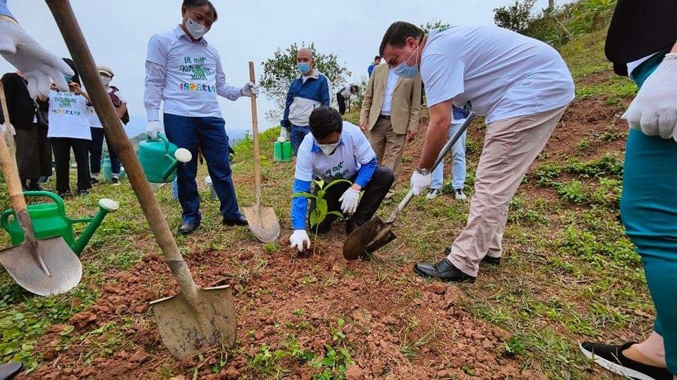 Embassies Plant Trees and Protect Environment for A Greener Vietnam