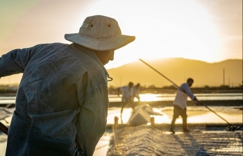 the beauty of labour on long dien salt flats