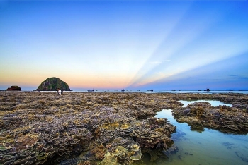 Vietnam Top Destinations: Stunning coral reefs in Hon Yen island Vietnam Top Destinations: Stunning coral reefs in Hon Yen island