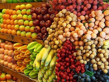 Thailand beaten out of no.1 in fruit and vegetable supply to Vietnam thailand beaten out of no1 in fruit and vegetable supply to vietnam