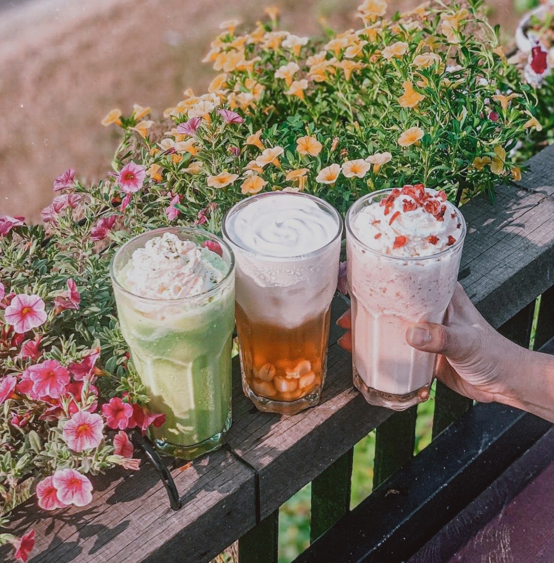 Photo: Landing - Milk tea and coffee