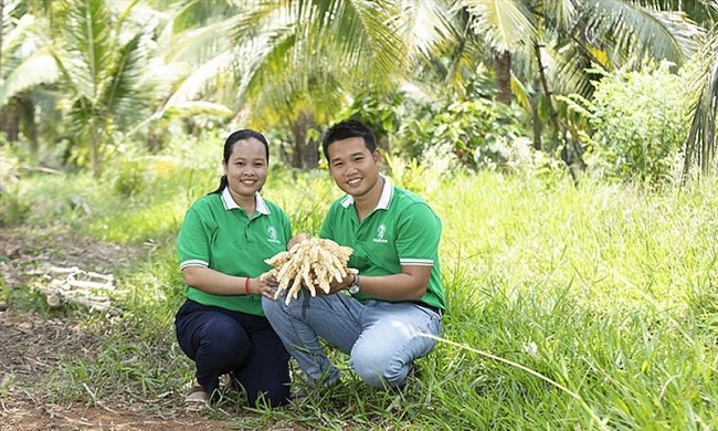 Coconut Massage Brings Fortune for Khmer Entrepreneur