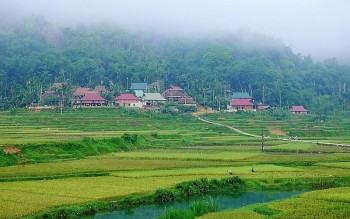 Where to Visit in Thanh Hoa: Pu Luong - the Ultimate Nature Reserve