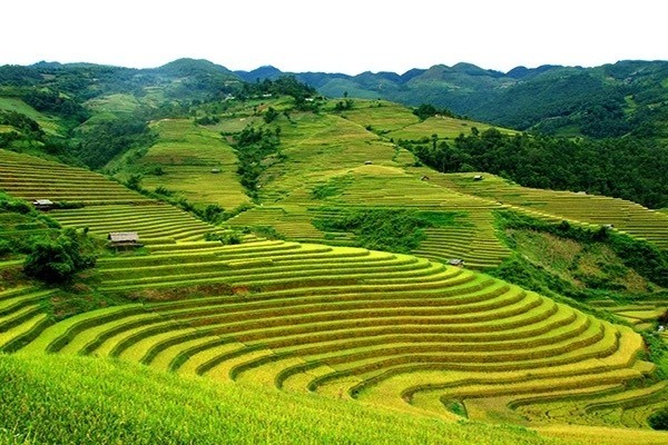 Exploring Cao Ba Lanh and Legend of the Nature's Xylophone