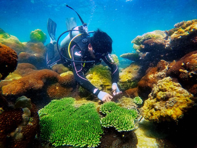 2022 Calendar to Celebrate "Homeland View from the Sea" Winners