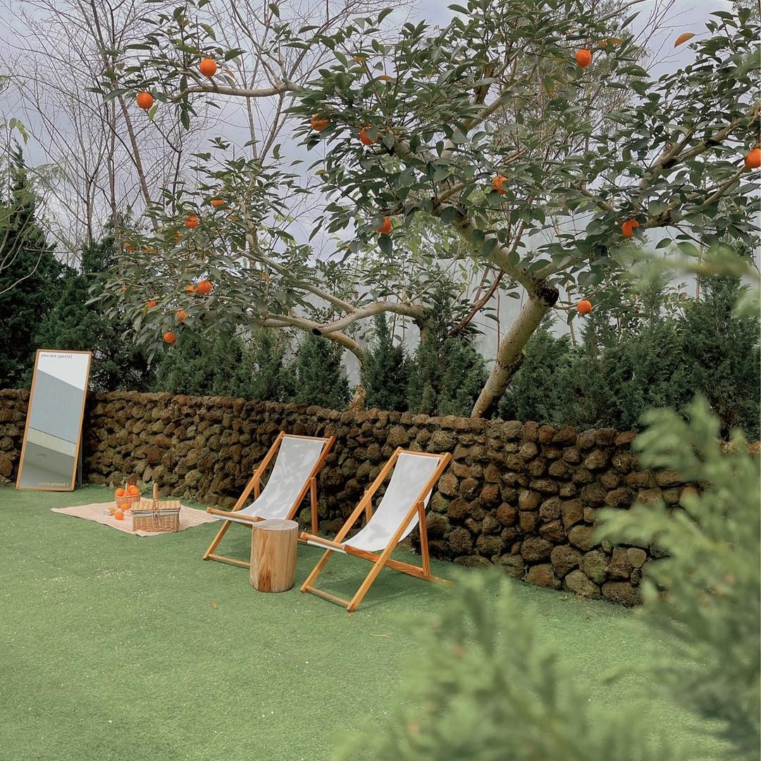 Da Lat All-in-One Cafés and Restaurants to Feel Four Season in One Day