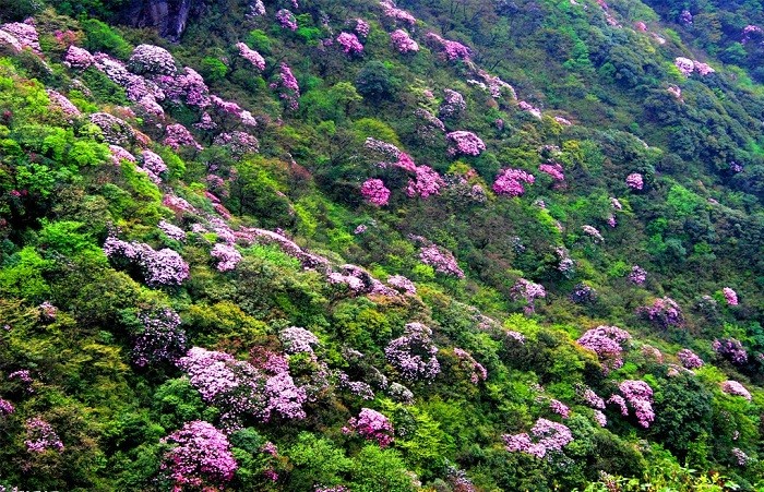 Pu Ta Leng: Adventurous Weekend Hike to the Indochina's Second Highest Mountain