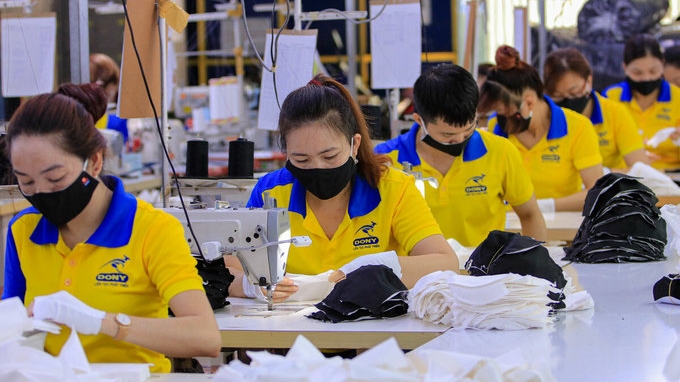 Vietnamese, Dutch businesses urged to optimise EVFTA