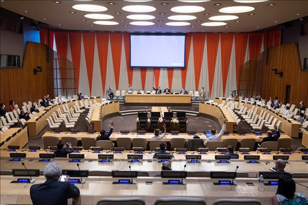 1146 unsc session