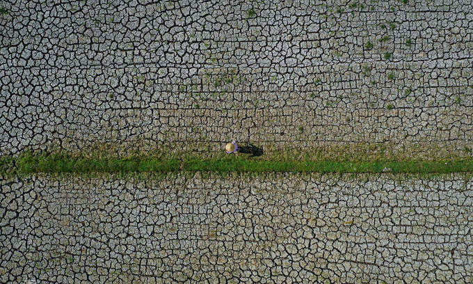 vietnam needs 35 bln to meet climate adaptation demands next decade pm