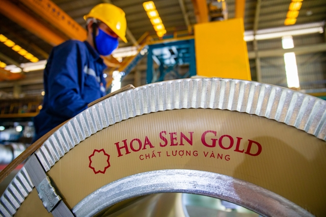 3638 hoa sen