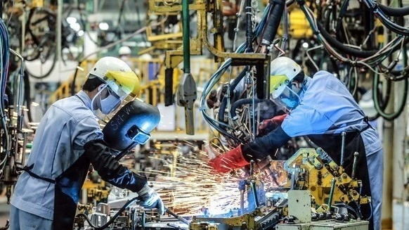 3143 eu firms