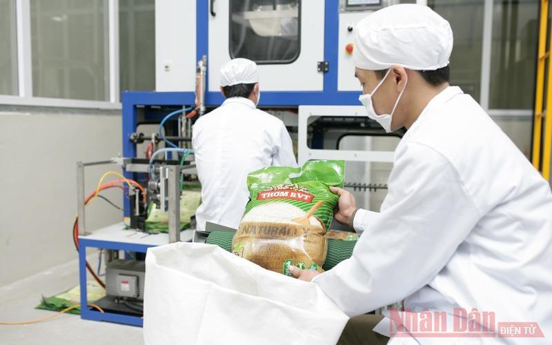 0526 rice industry 4