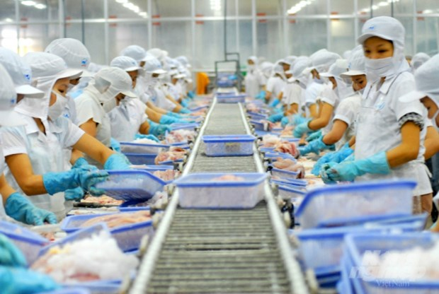 vietnams aquatic exports to taiwan rise sharply amidst covid 19