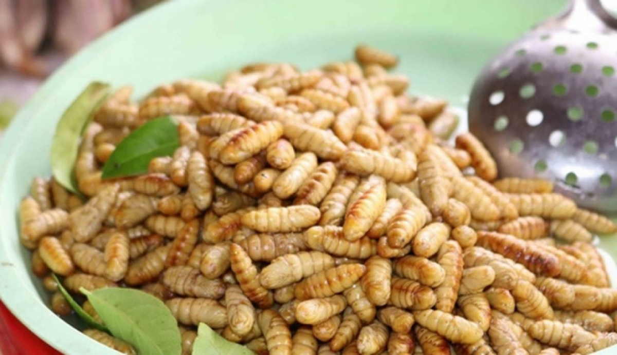 Vietnam allowed to ship insect-based food to EU