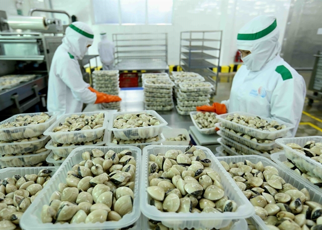 Clam processing at Lenger Seafoods Vietnam Co. Việt Nam and the UK saw impressive growth in their two-way trade though exports faced formidable challenges caused by the COVID-19 pandemic. VNA/VNS Photo