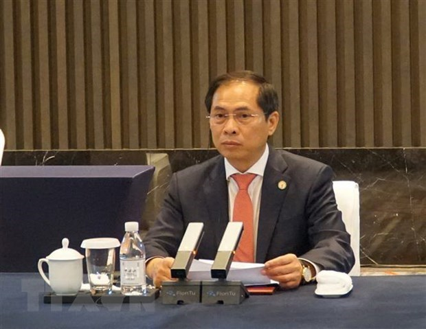 Vietnamese Minister of Foreign Affairs Bui Thanh Son (Photo: VNA)