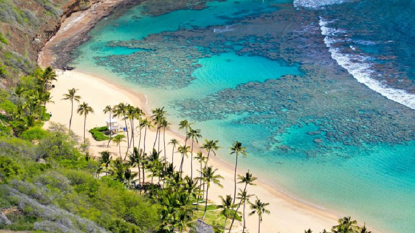 3122 cham islands