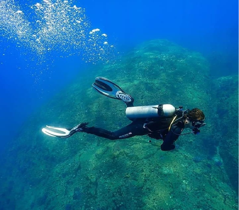 3551 diving 2