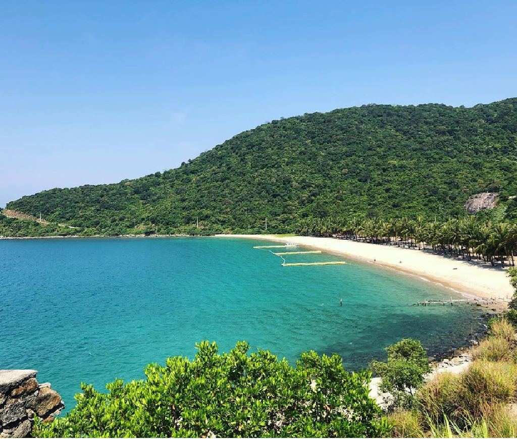 top vietnam destinations unforgettable coral diving on cham islands in hoi an