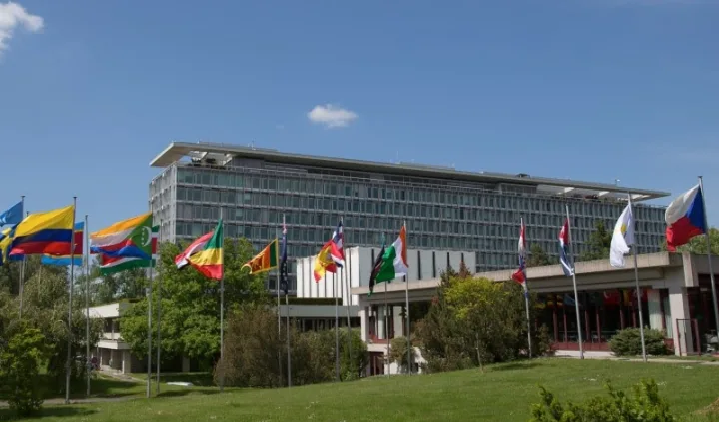 0313 who headquarter