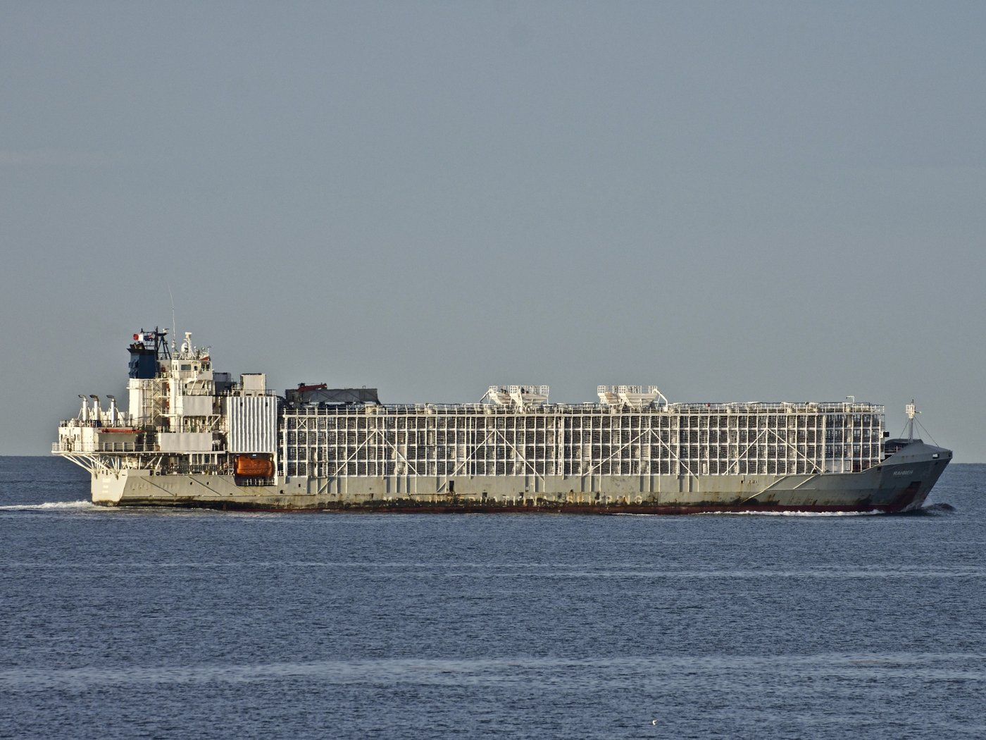 3703 sea 3