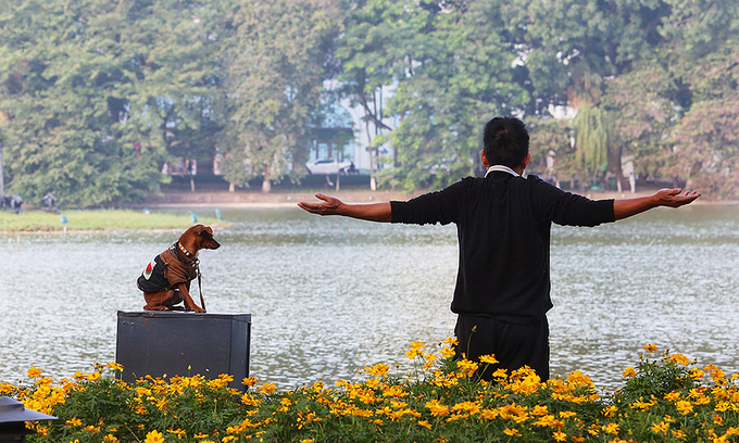 3006 dog walking