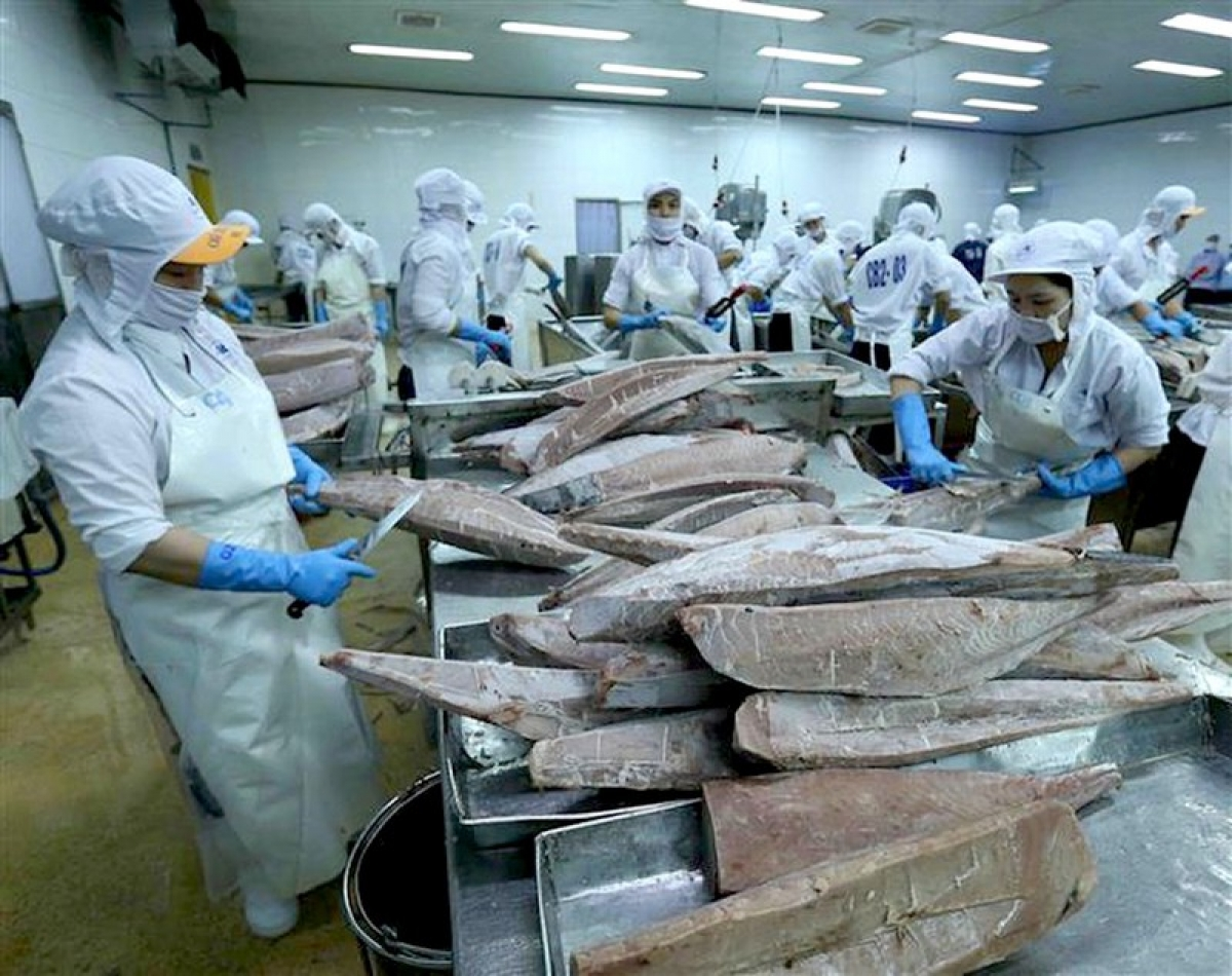 2833 tuna 3