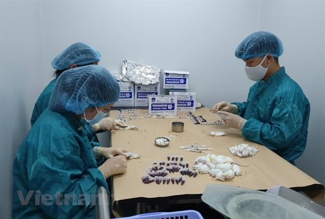 0604 vaccine 2