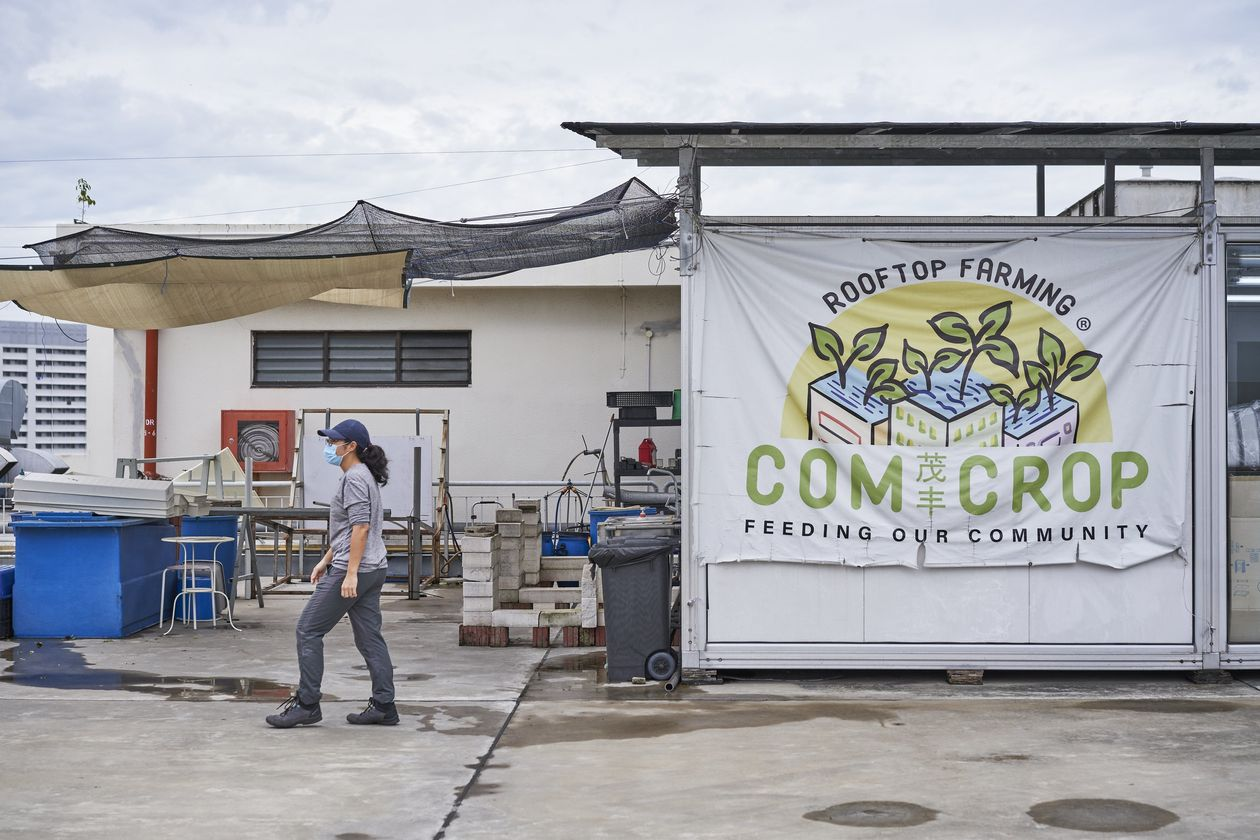 singapore turns to farming amidst covid 19