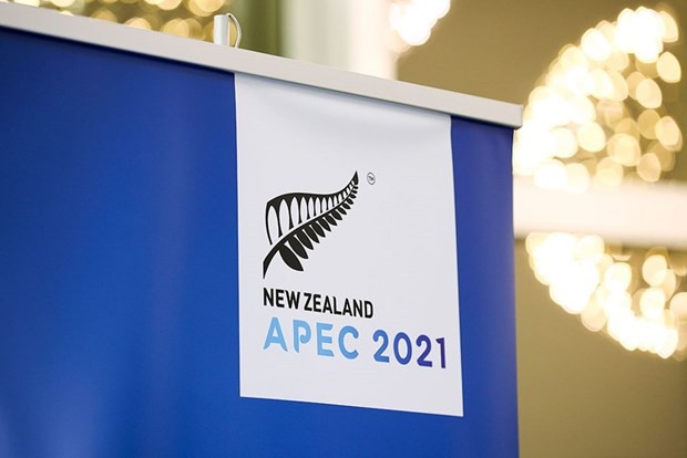 apec 2021 vietnam expects to advance stature in multilateral activities