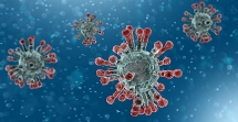harvard medical qa on coronavirus