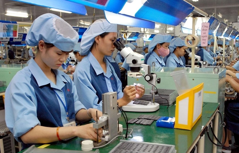 vietnam small and medium enterprises get 50 tax cut proposed