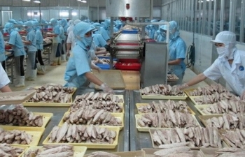 vietnam shrimp exports head to increase in may amid covid 19 pandemic