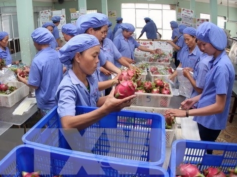 vietnam exports dropped sharply in may
