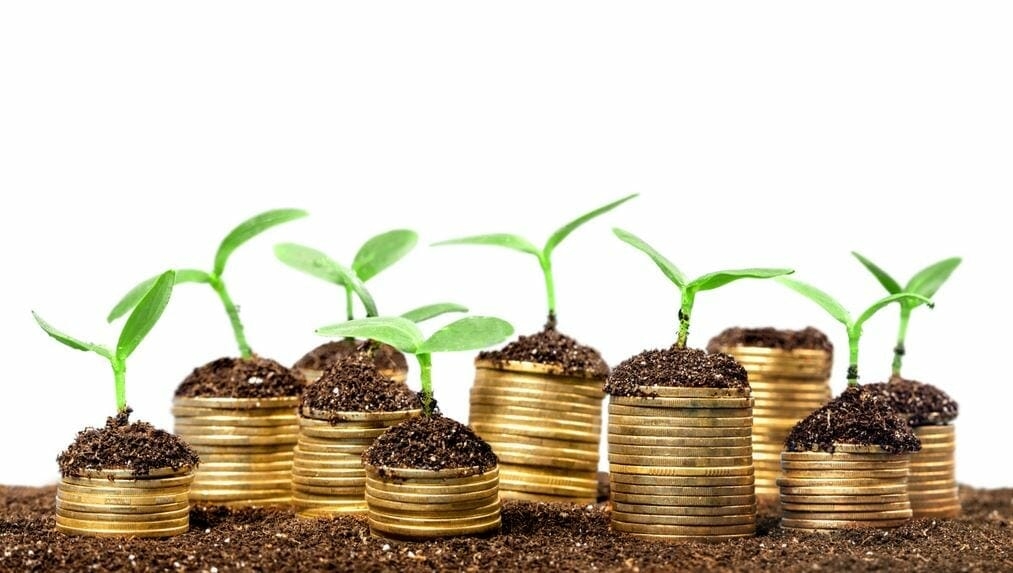 3 great suggestions to bounce back if you lose money due to covid 19