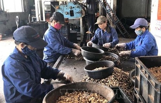 ministry of finance proposes to reduce corporate income tax by 30 for small and micro businesses