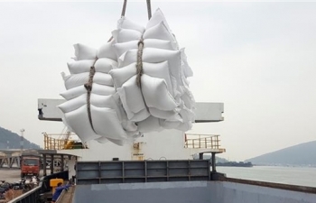 vietnams agricultural exports skyrocket