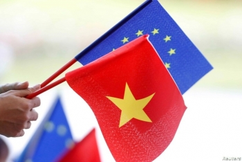 Policies for Vietnam to catch opportunities from EU market after EVFTA and EVIPA policies for vietnam to catch opportunities from eu market after evfta and evipa