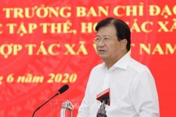 Deputy PM asks for measures to boost cooperatives' growth deputy pm asks for measures to boost cooperatives growth