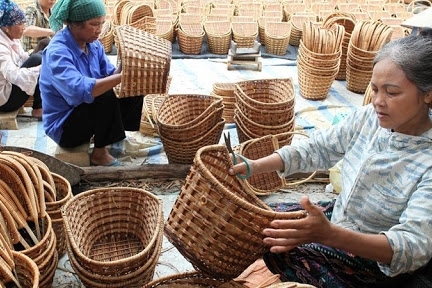 Microfinance supports Vietnamese rural women in their businesses