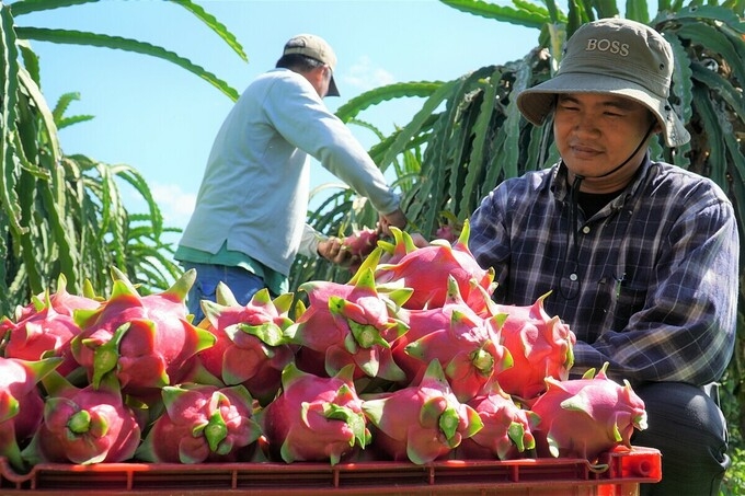 4421 fruit and vegetables thailand