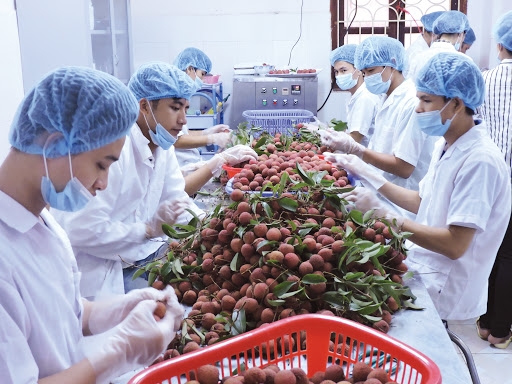 4310 agricultural products