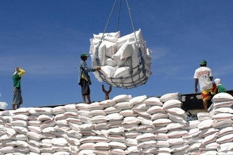 Vietnam's rice exports to the EU stay modest due to limited quota