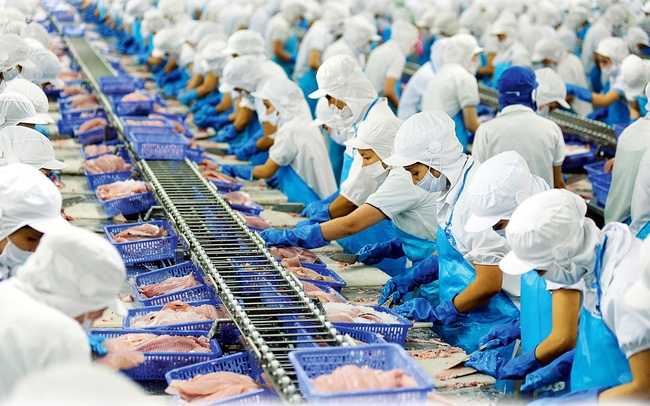 vietnam expects to raise exports to usd 340 million by 2025
