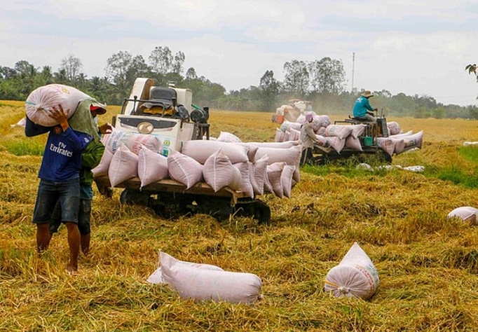 5225 rice export 2020